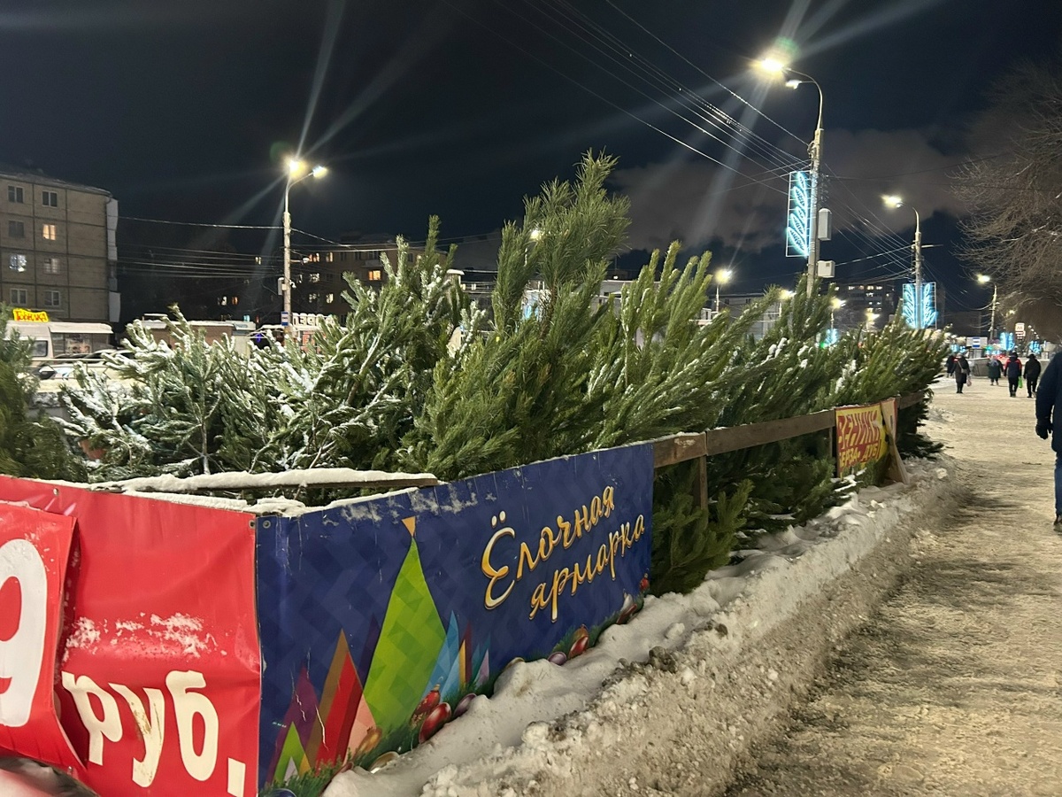    Фото: Анастасия Максименко