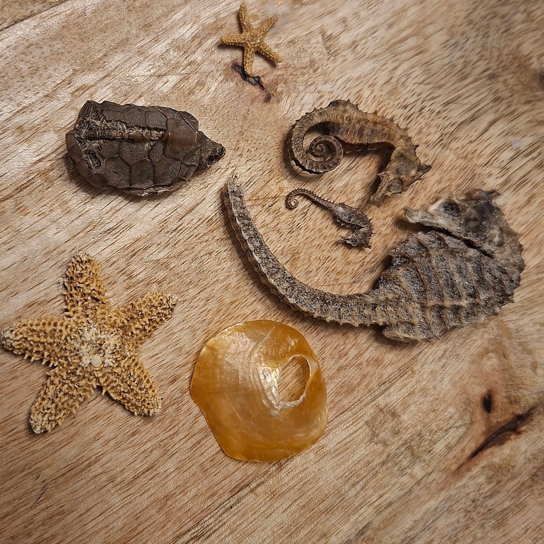 Этим вещам примерно 50 лет