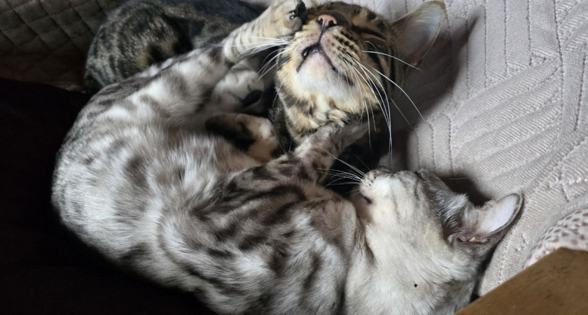    Фото Анастасии Дмитриевой