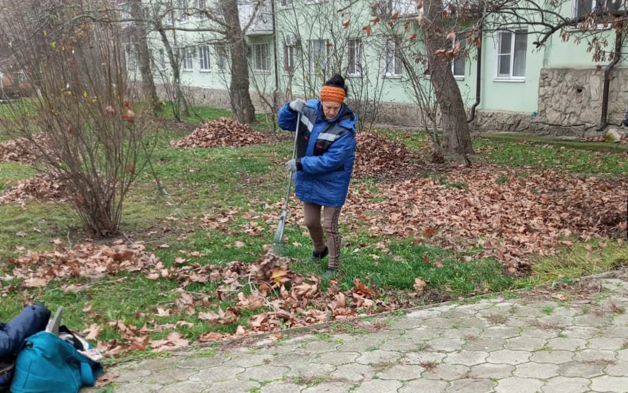    Фото пресс-службы администрации Темрюкского городского поселения.