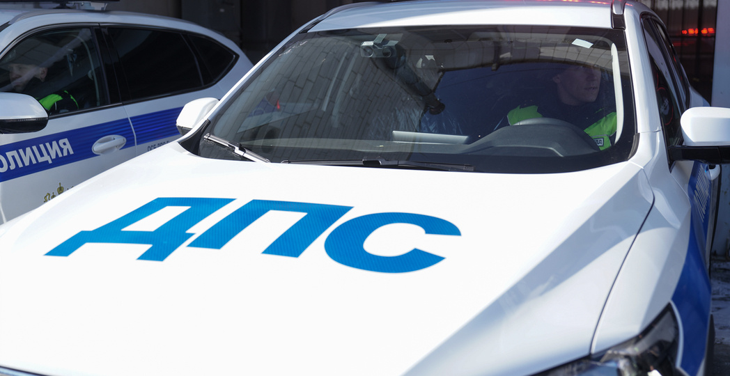 В Югре полицейские спасли пса, замерзавшего на обочине федеральной трассы