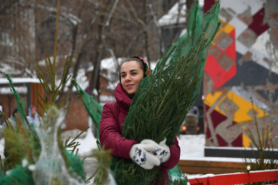    Ёлочные базары заработали в Нижнем Новгороде. Евгения ГУСЕВА
