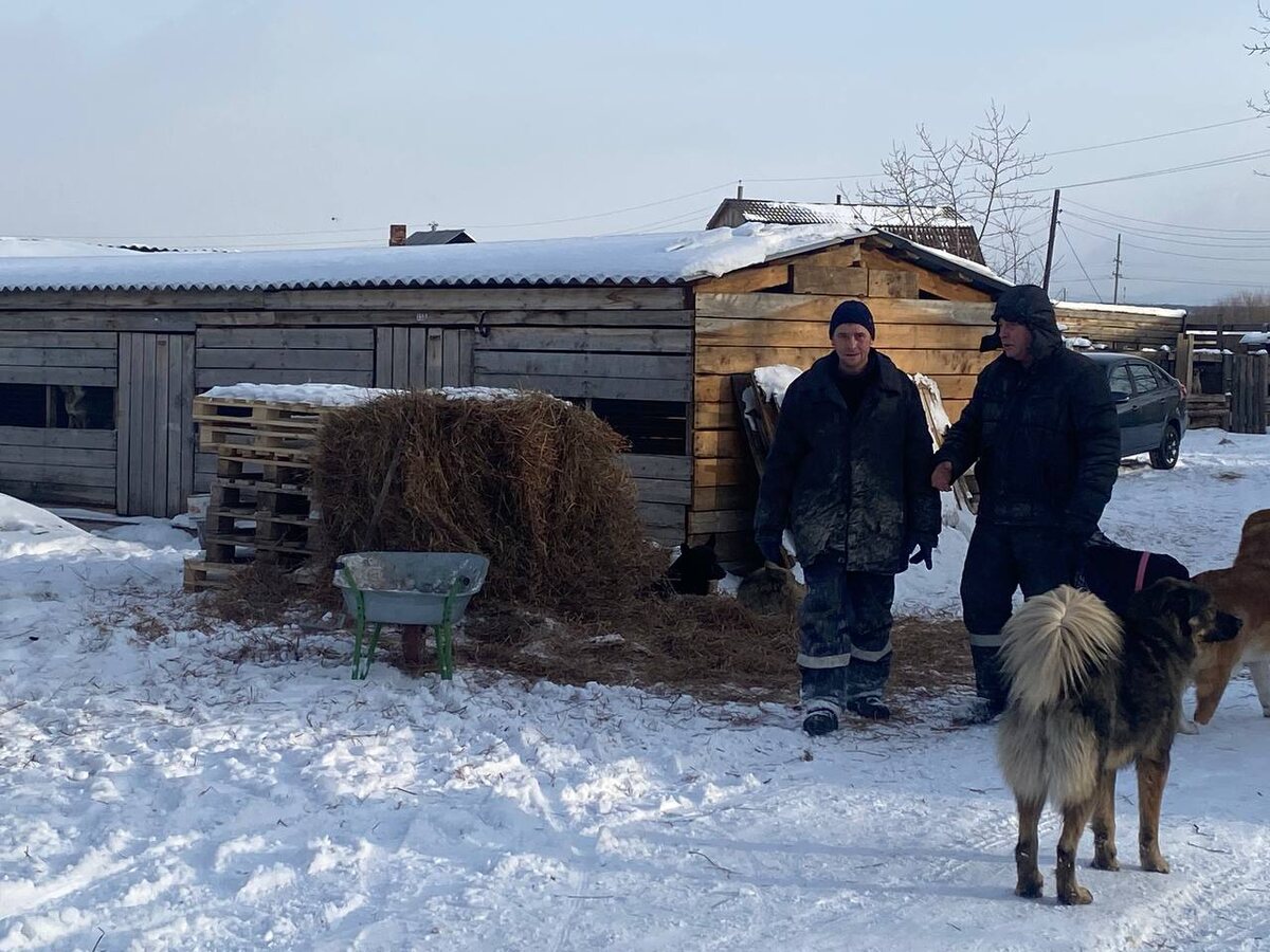 Наши новые члены команды.