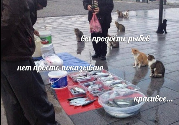    Последнее время при взгляде на цены минтая все чаще приходит на ум один из самых знаменитых мемов Рунета - «Вы продоёте рыбов» ― «нет просто показываю» ― «красивое…».