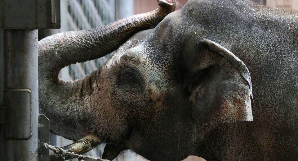    Медиасток.рф