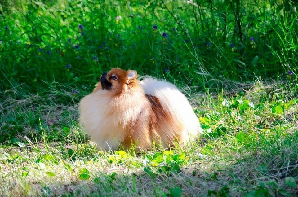    Фото: Ольга Гайдамакина