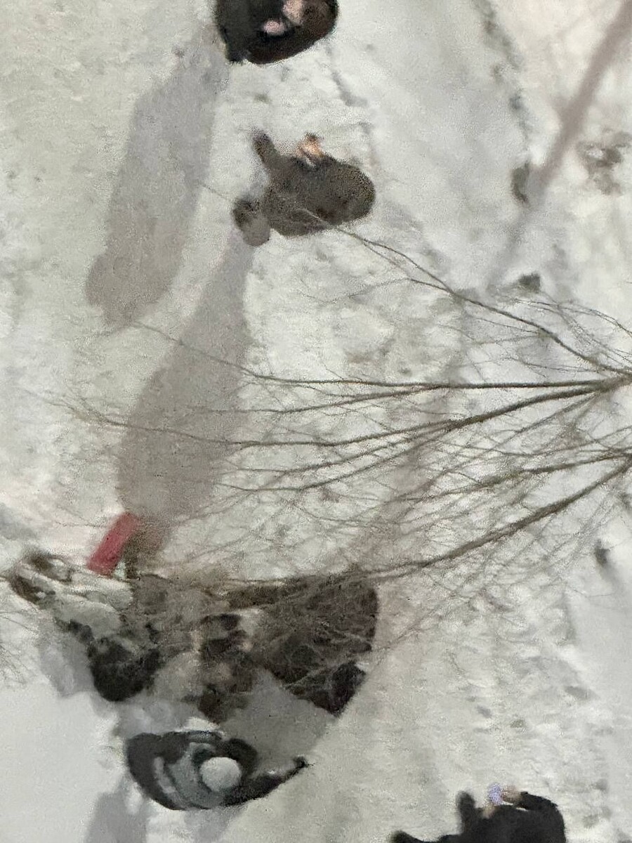    ДТП на проспекте Комсомольском. Источник: t.me/incident22