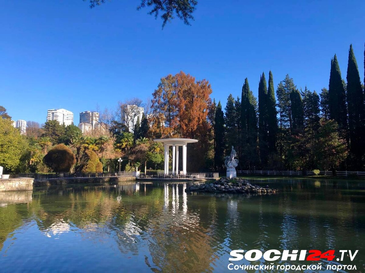    Фото: Сочи24