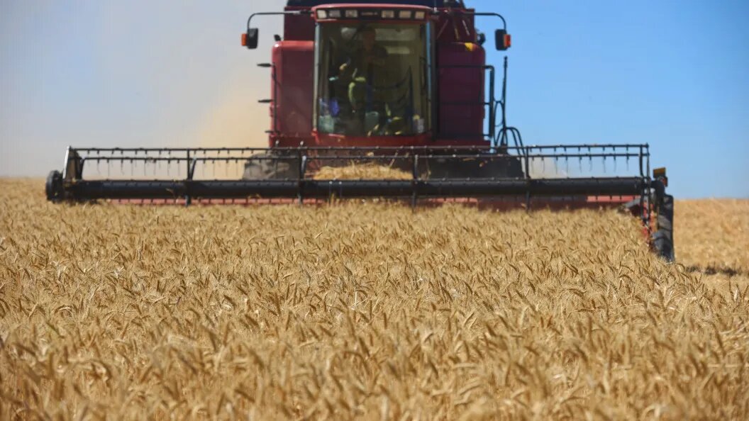    Фото: царьград/сельское хозяйство.