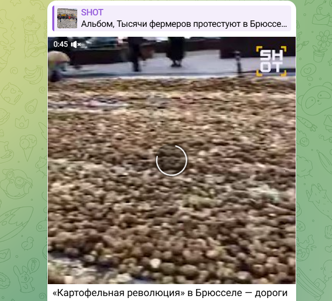    Фото: тг-канал SHOT.