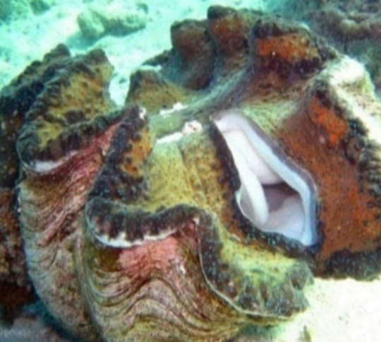 Фотография из соцсетей: Новостти Уфы Уличный репортер