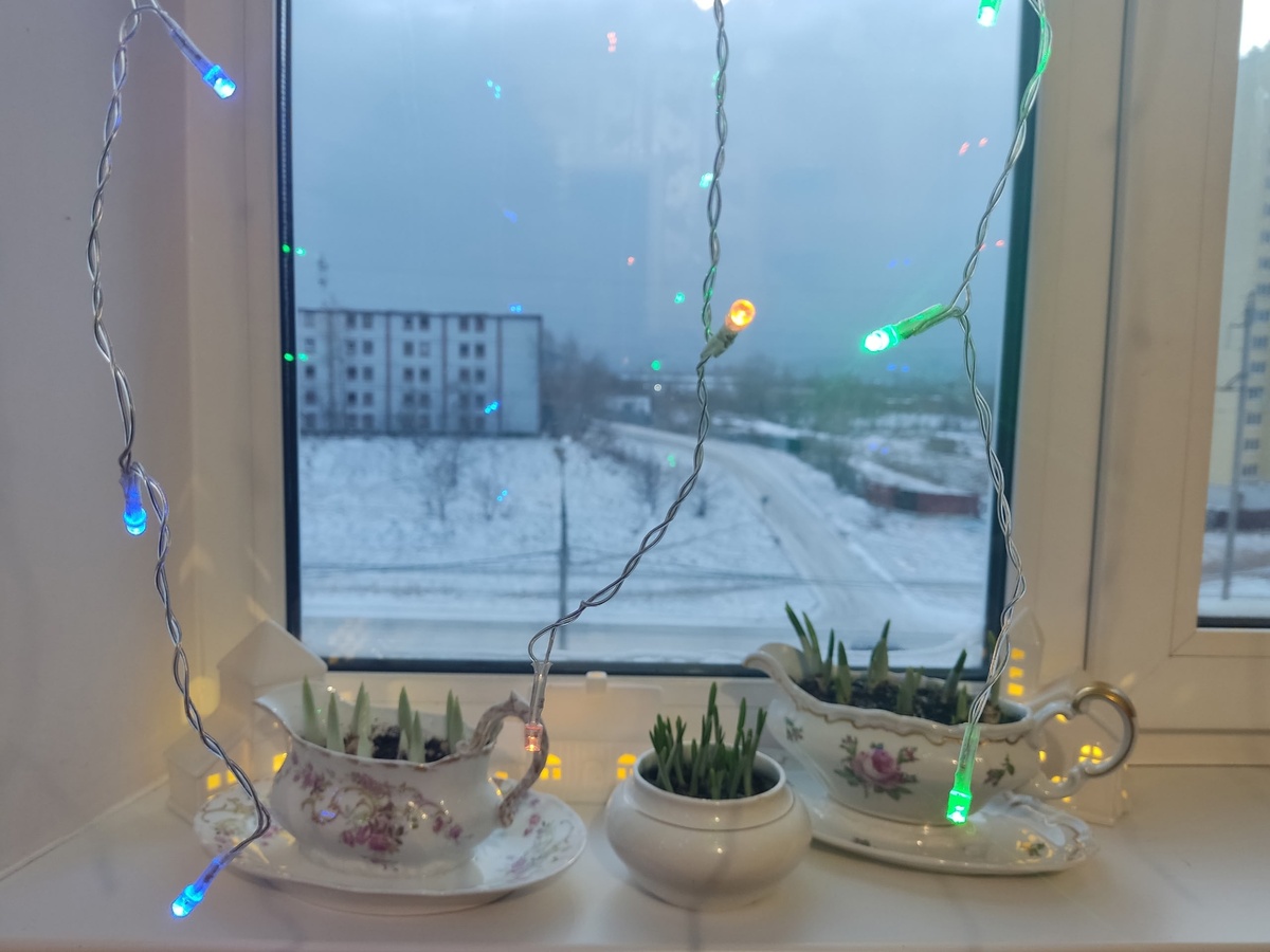 Делаю дело, которое приносит мне радость и свет в сумраке