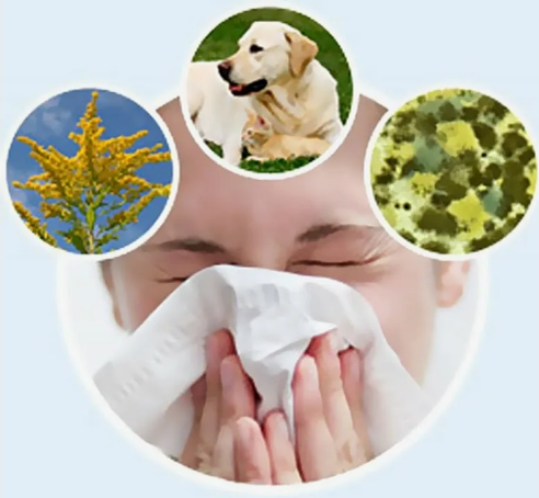 Фото из картинок yandex.ru