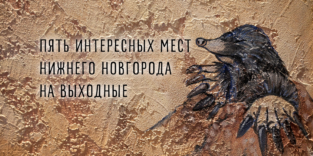 Пять нетривиальных идей, чем заняться в Нижнем Новгороде
