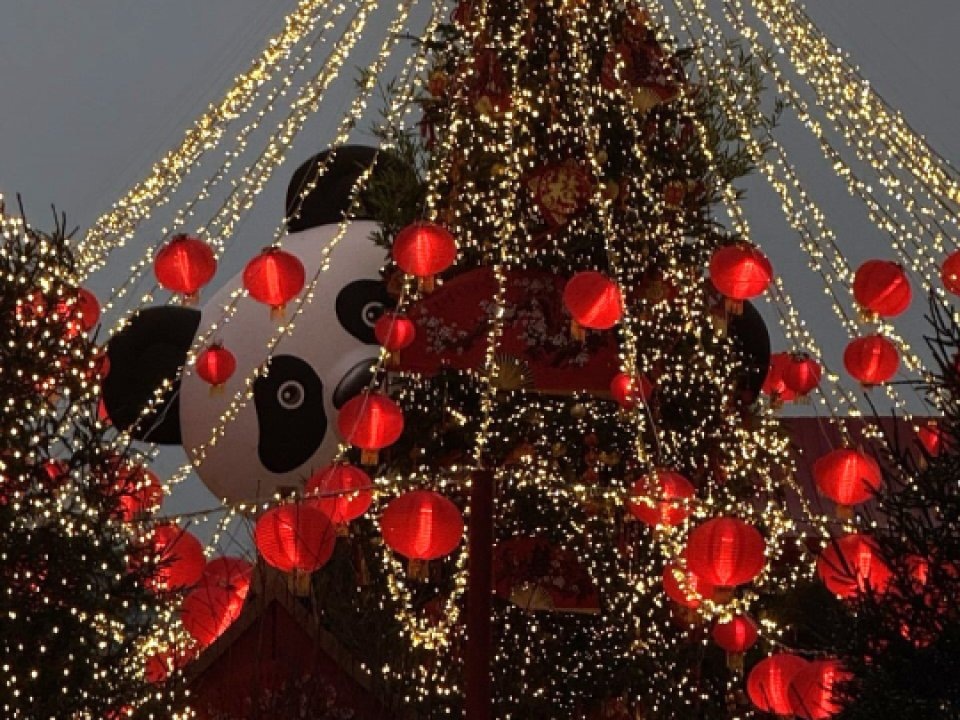    Фото: REGIONS/Дарина Левкина