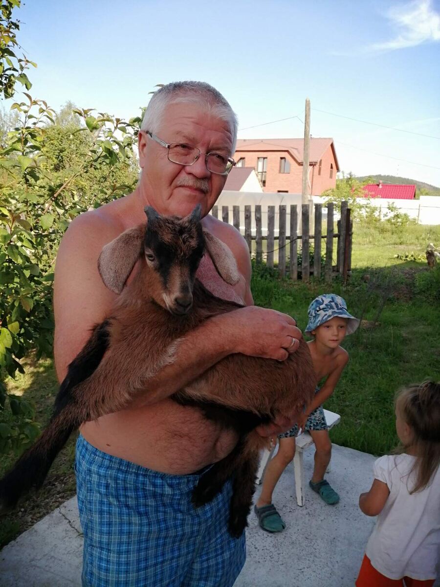 Вот такие козлята у соседа.