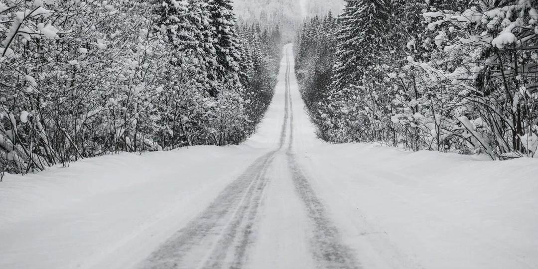 Полицейские ХМАО спасли замерзающую собаку на федеральной трассе