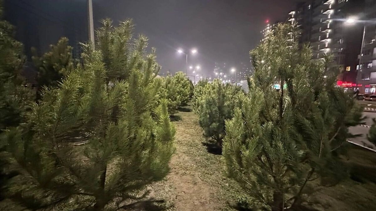     Автор: Анна Ивченко Источник: rostovgazeta.ru