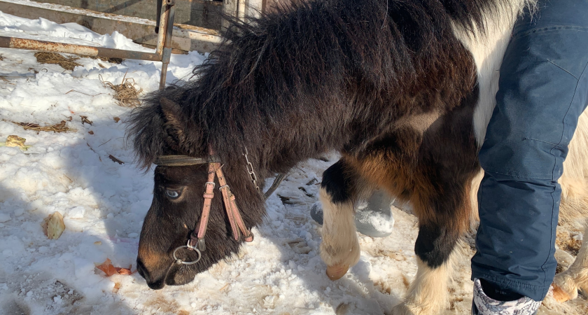    Фото из архива Pro Города