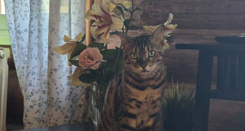    Фото Анастасии Дмитриевой