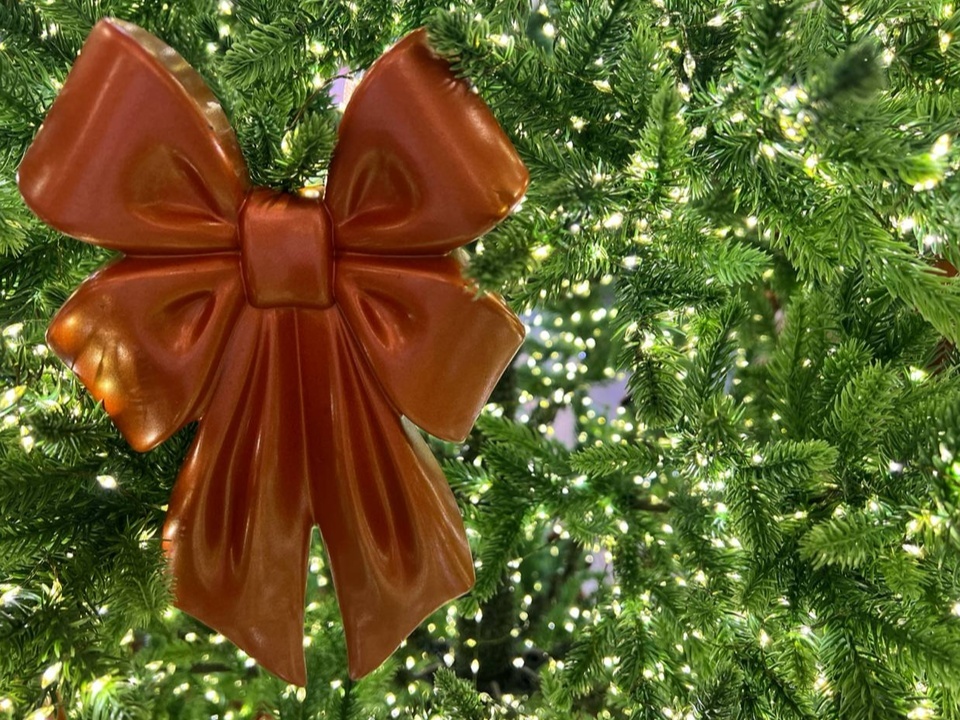    Фото: REGIONS/Елена Фурман