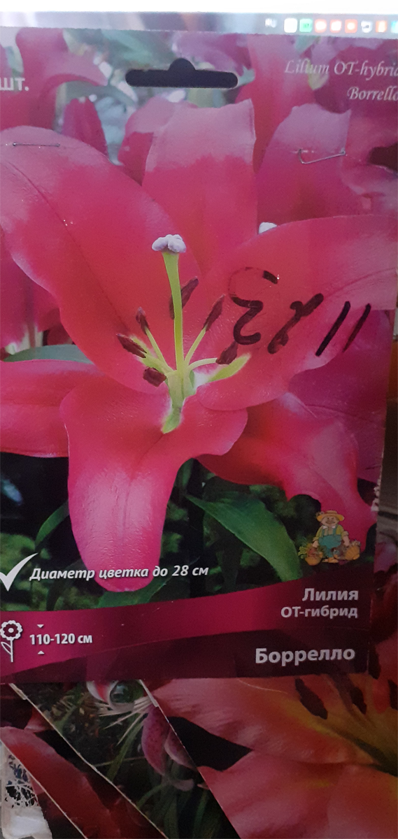 ОТ-ГИБРИД,КУПЛЕННЫЙ МНОЮ В "ОБИ"