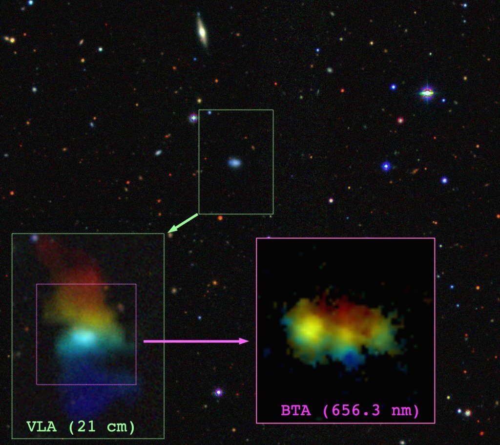    Цветное изображение области неба вокруг галактики VGS 12 по данным обзора DESI Legacy Survey. На врезках показано распределение нейтрального водорода вокруг галактики согласно наблюдениям радиотелескопа VLA в линии 21 см и ионизованного газа во внутренних областях по наблюдениям на шестиметровом телескопе САО РАН в линии Н-альфа (длина волны 656,3 нм). Цвета соответствуют наблюдаемым лучевым скоростям (синие точки — приближаются, красные — удаляются от наблюдателя)