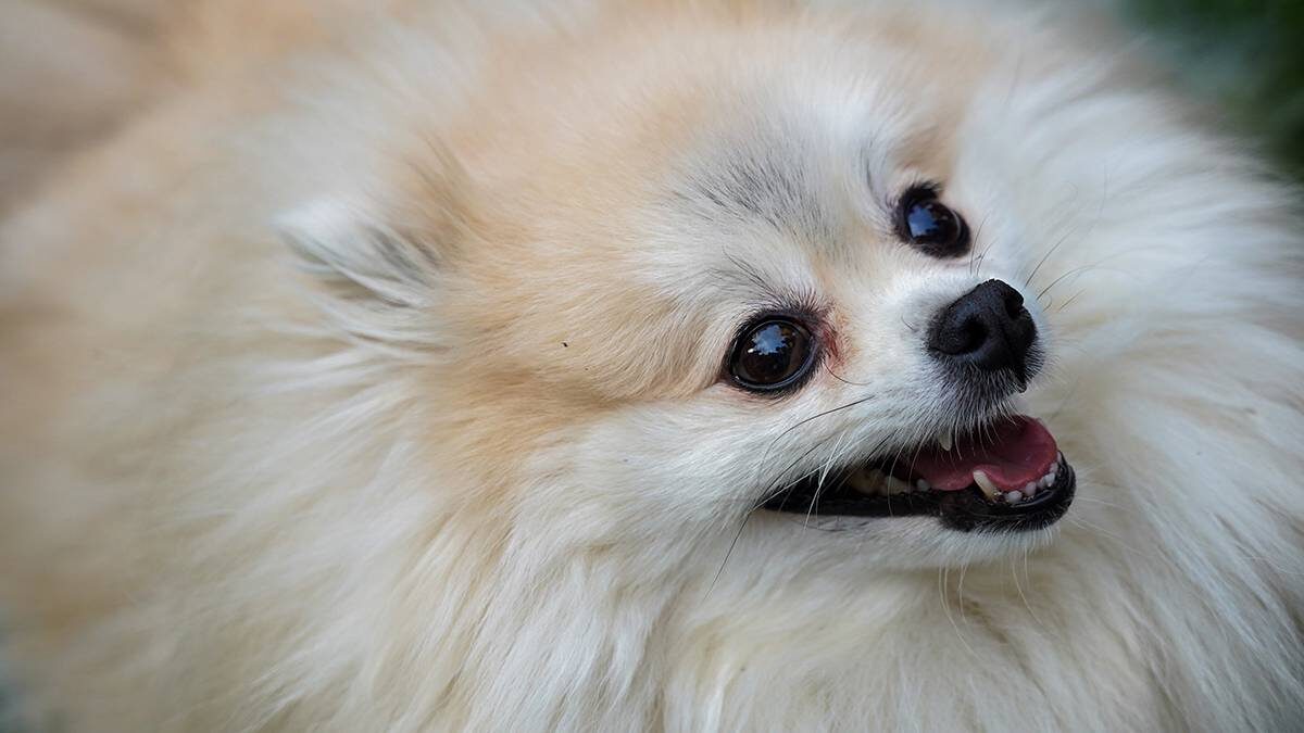    Фото: Пелагия Тихонова / АГН Москва