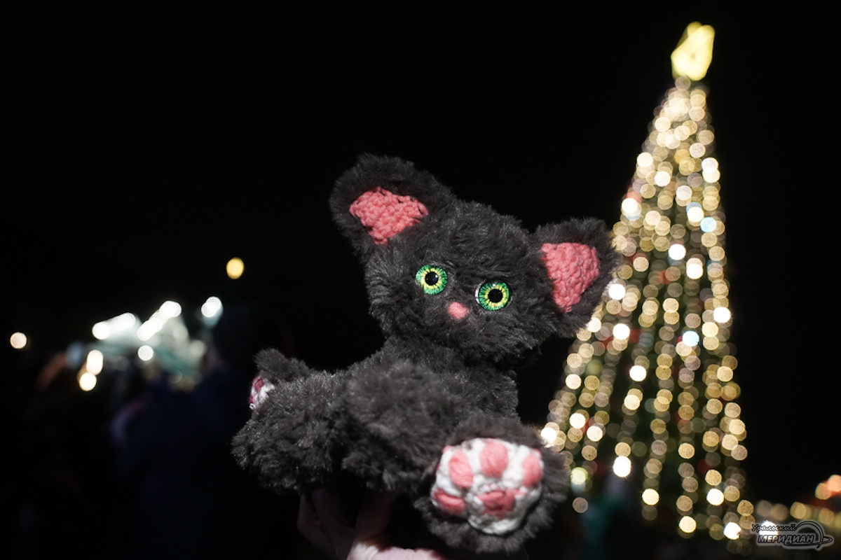    Фото: Лидия Аникина © ИА «Уральский меридиан»