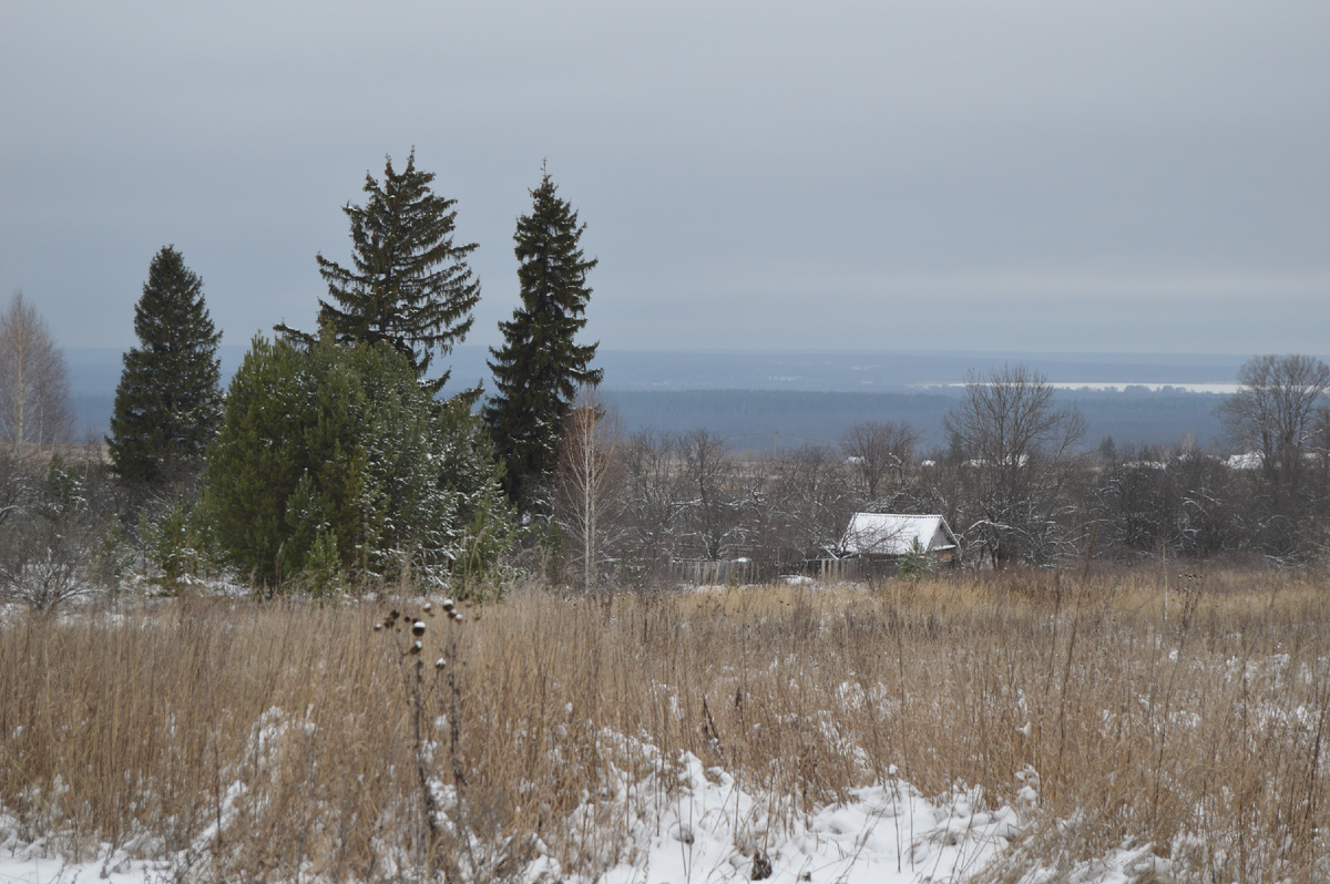 Зима в деревне. Фото автора