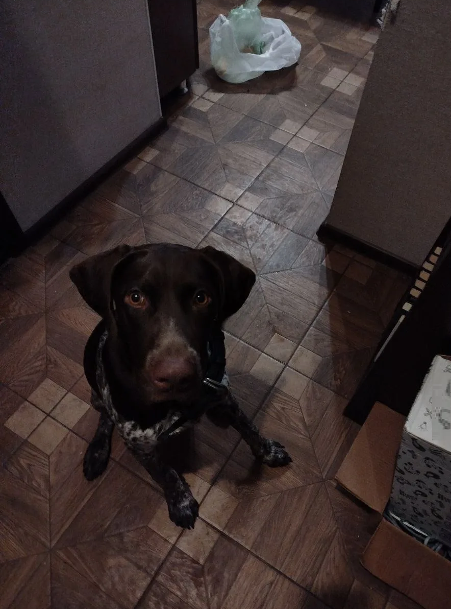 Микки не прочь посортировать мусор