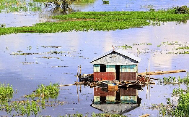 Фото с сайта Wikimedia Commons