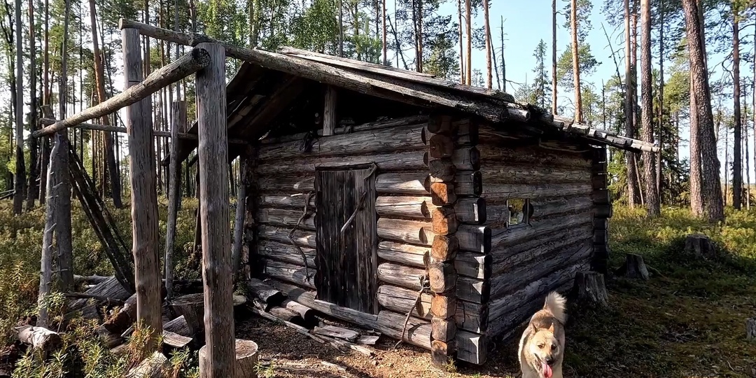 Тайна Дикой Тайги