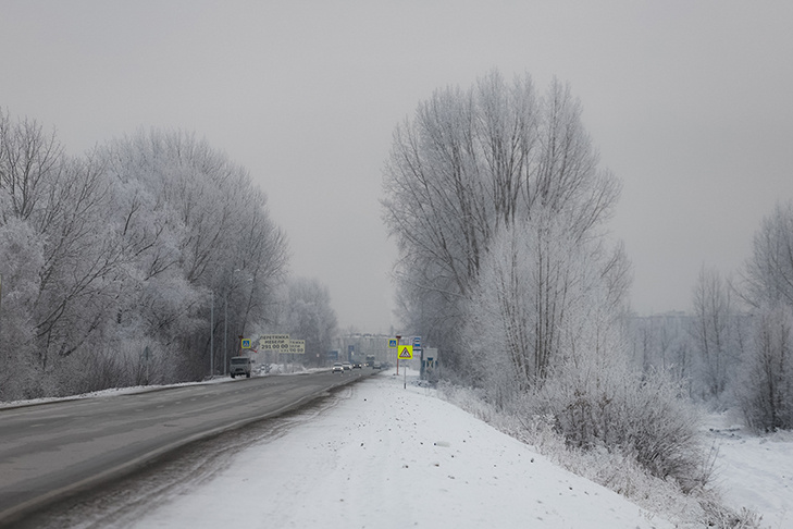    Фото Алексея Танюшина из архива VN.ru