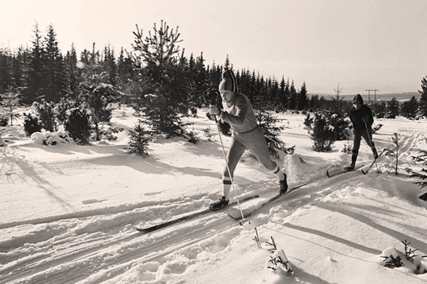 Фото выложено исключительно в иллюстративных целях