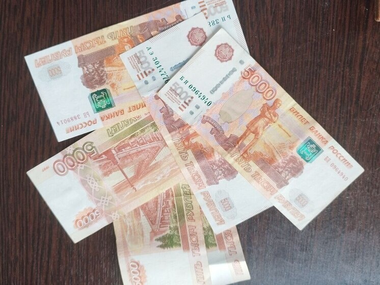     Средний уровень зарплаты в России за последний год увеличился на 12 тысяч рублей. Фото: архив МК в Питере