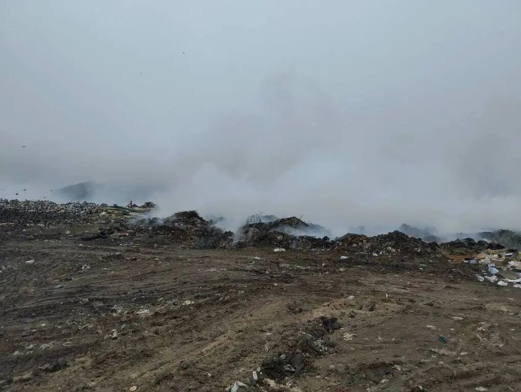    Фото: ТГ канала Антонины Пшеничной