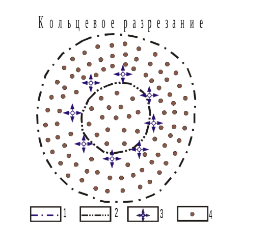 1-внешний ВНК; 2-внутренний ВНК; 3-нагнетательные скважины; 4-добывающие сквжины.