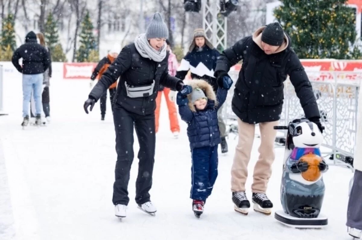    В Ярославской области стартовали масштабные новогодние торжества