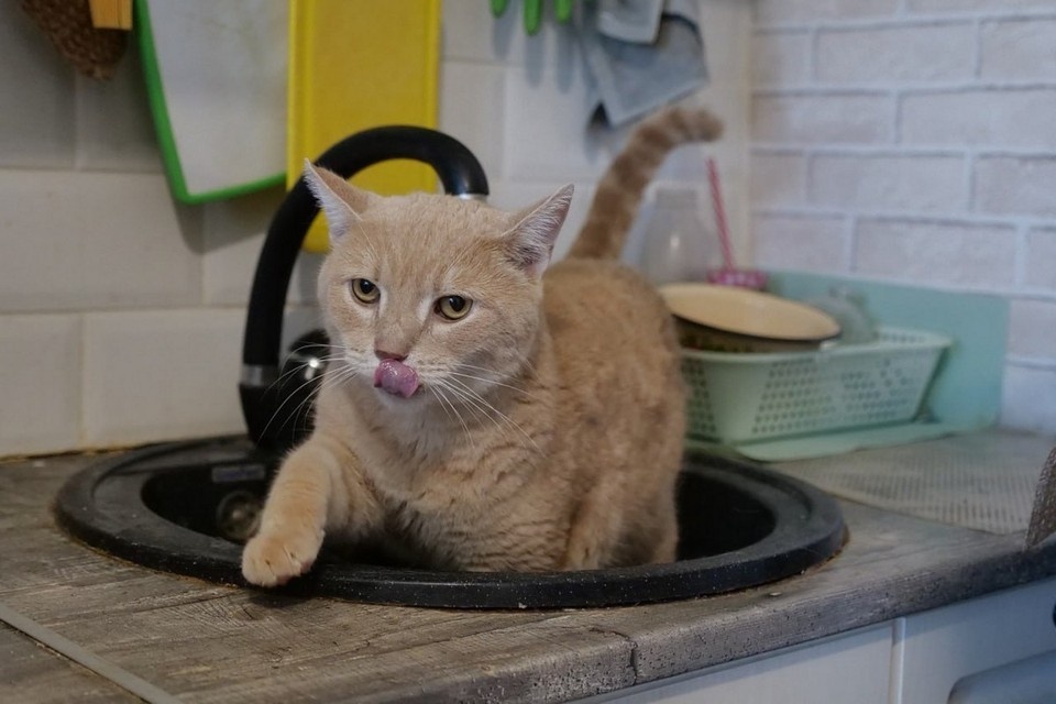    В течение 2026 года произойдет двукратное повышение расценок на коммунальные услуги. Светлана МАКОВЕЕВА