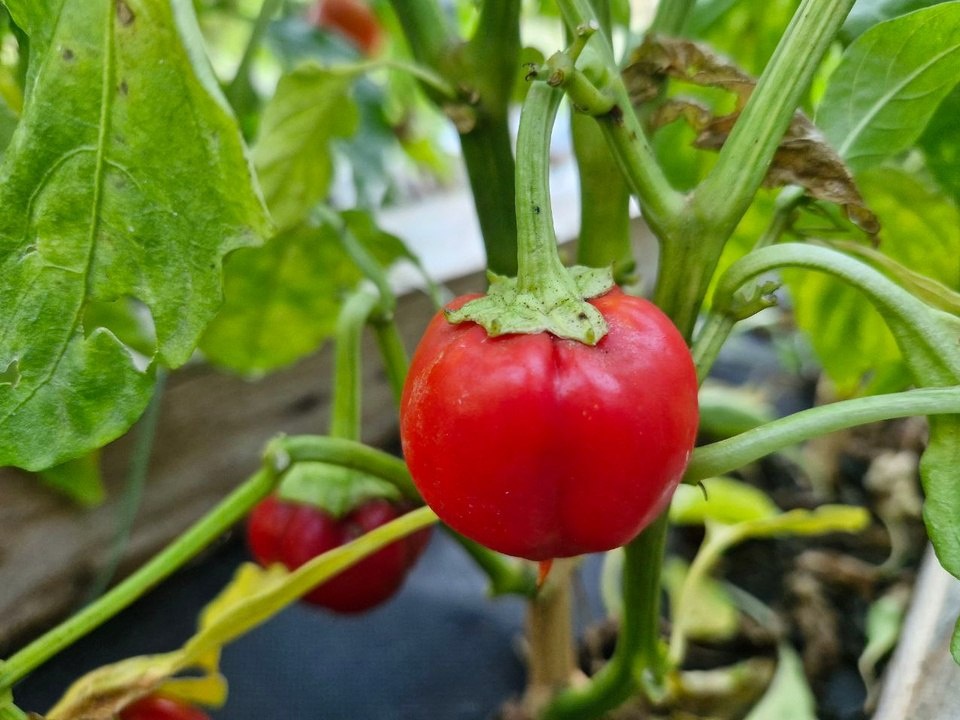    Фото: REGIONS/Наталия Надточая