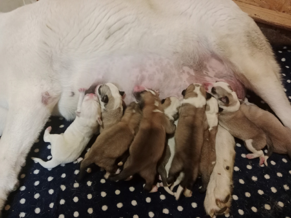 вот он где-то там, думаю сверху