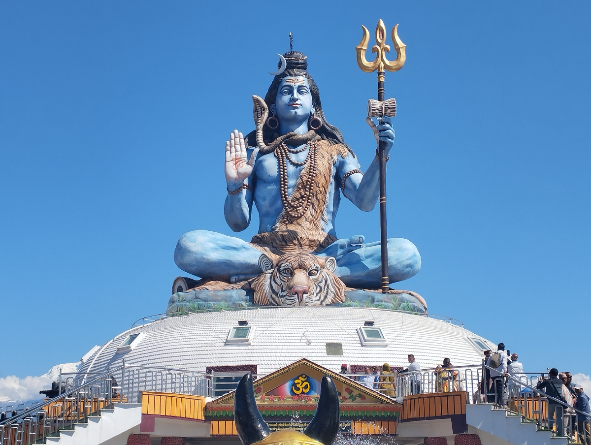 Это он! Это он!