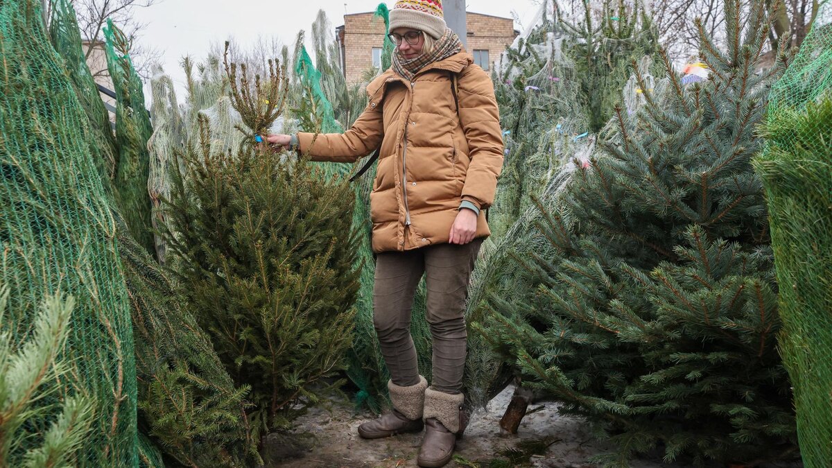    Фото: Belkin Alexey/globallookpress.com