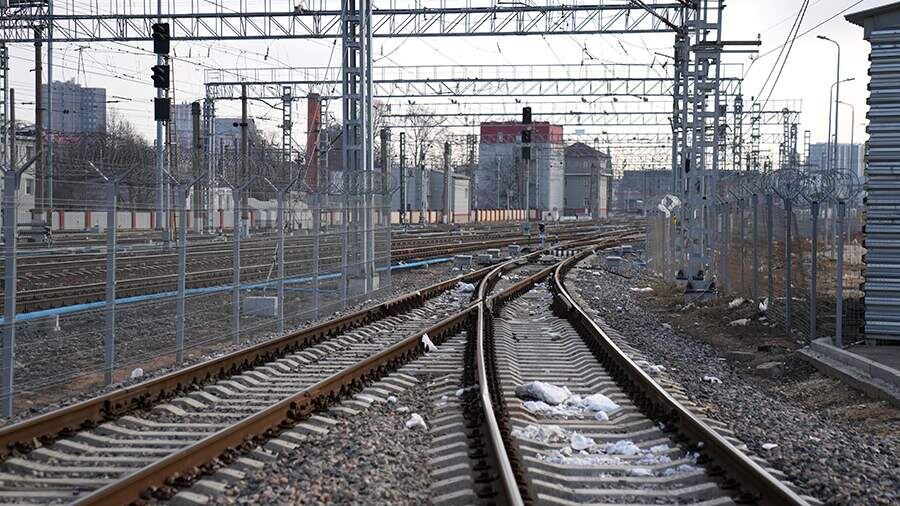    Фото: ИЗВЕСТИЯ/Дмитрий Коротаев