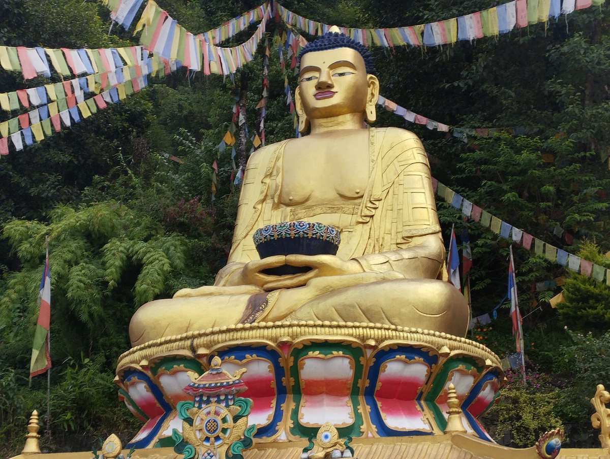 Это он! Это он!