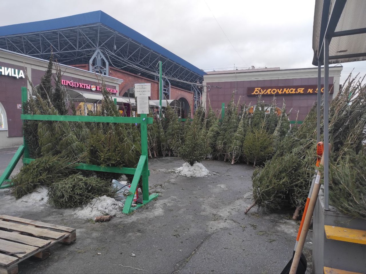 © Форпост Северо-Запад / Алиса Иняхина