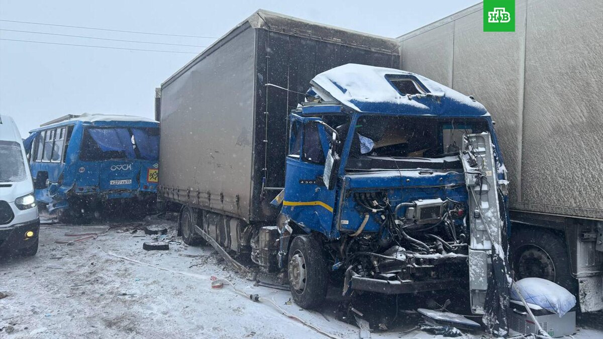    Фото: omsk_police / t.me