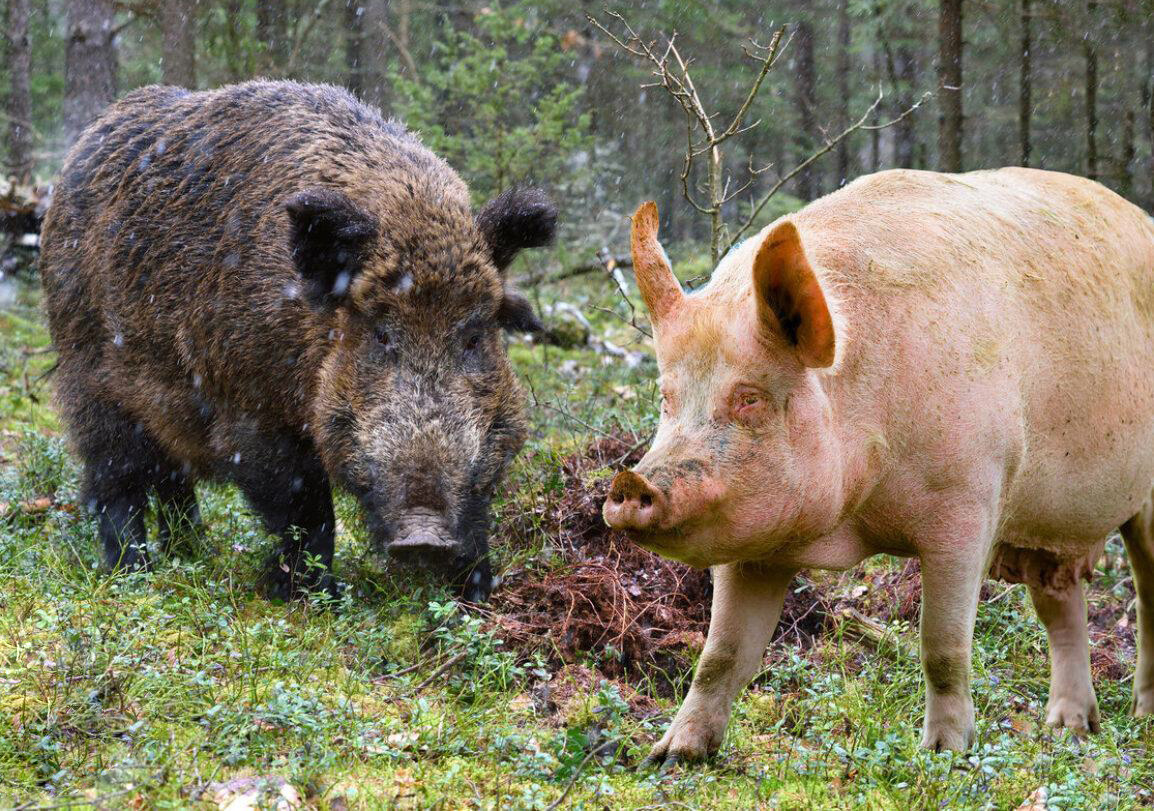 Когда решил побриться, и теперь ты для всех другой человек. 