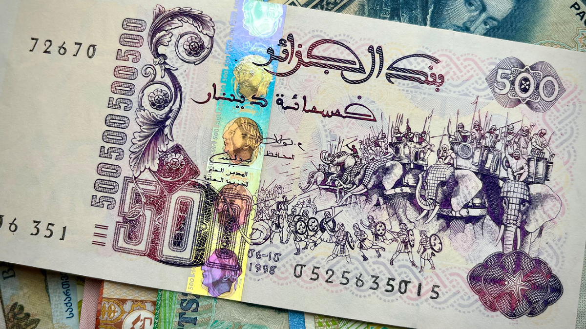 Каждый слон был не просто частью армии. Это был символ: символ непокорности, символ того, что даже самое могущественное государство может дрогнуть перед лицом неожиданной мощи…